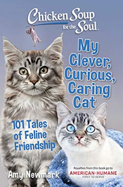 “The Cat that Saved Dogs”